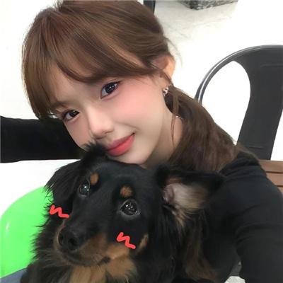 神犬小七第二季